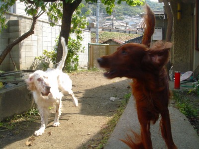 img20061028_1.jpg