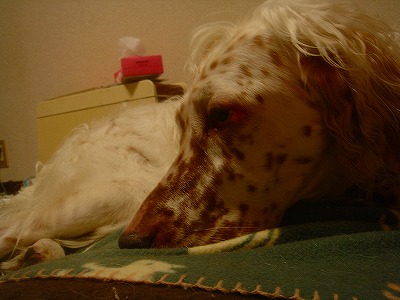 img20070927_2.jpg
