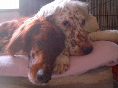 img20070728_4.jpg