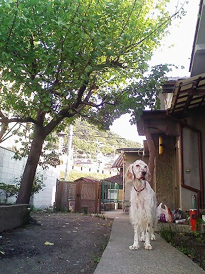 img20071031.jpg