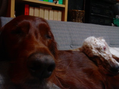 img20061030.jpg