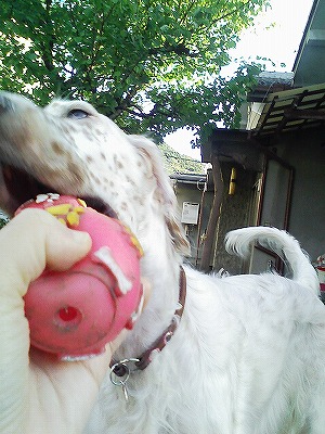 img20071031_3.jpg