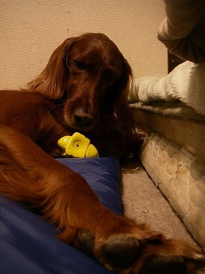 img20071129_2.jpg