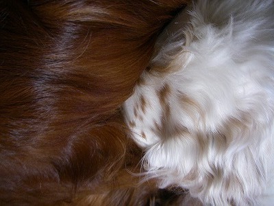 img20080303_1.jpg
