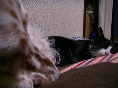 img20071130_1.jpg