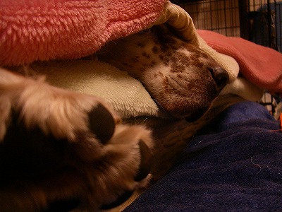 img20071130.jpg