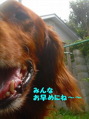 img20070723_1.jpg