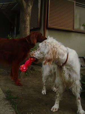 img20070427_6.jpg