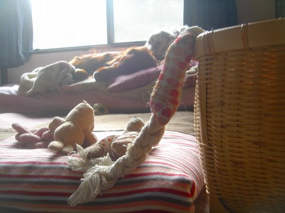 img20070127.jpg
