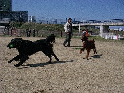 img20080315_6.jpg