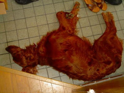 img20060727_1.jpg