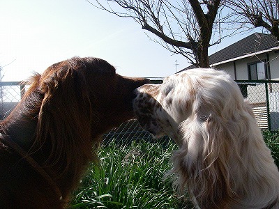 img20080318_7.jpg