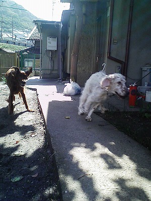 img20071028_1.jpg