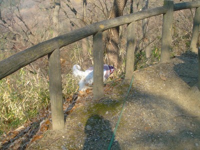 img20070130.jpg