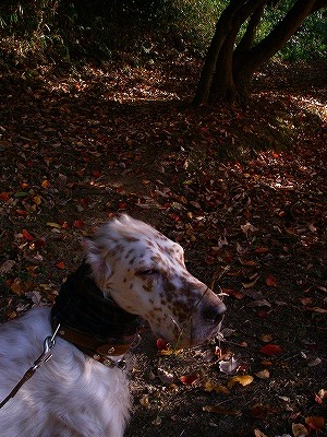 img20071201_4.jpg