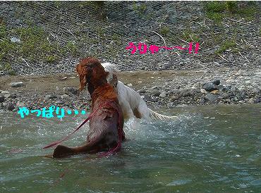 img20070930_2.jpg