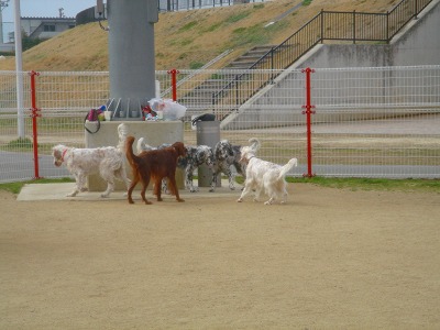 img20070227_5.jpg