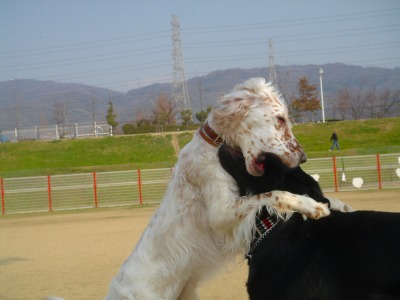 img20070329.jpg