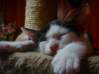 img20070928_3.jpg