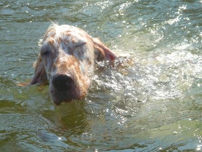 img20060805_3.jpg