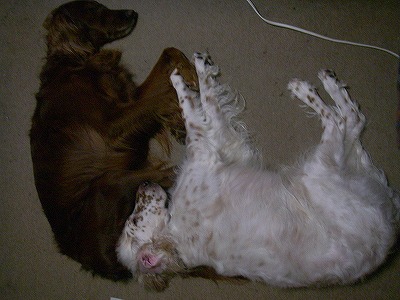 img20071231.jpg