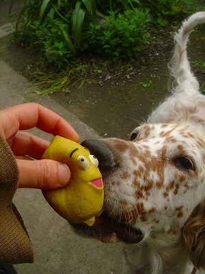 img20070427_3.jpg