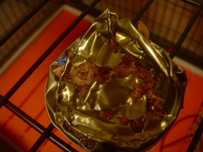img20070731_1.jpg