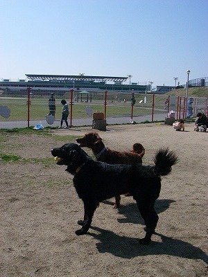 img20080315_5.jpg