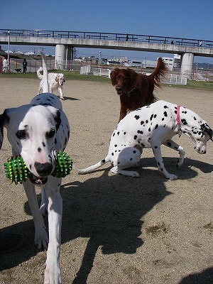 img20080315_2.jpg