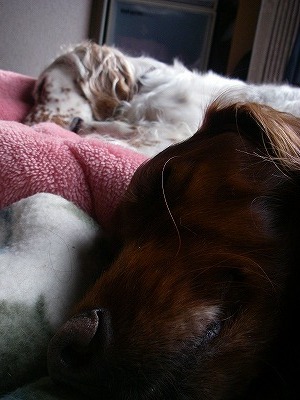 img20080201_3.jpg