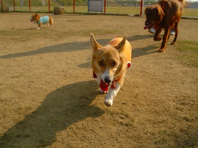 img20061101_4.jpg
