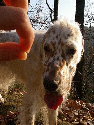 img20071229.jpg