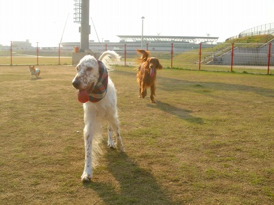 img20061101_5.jpg