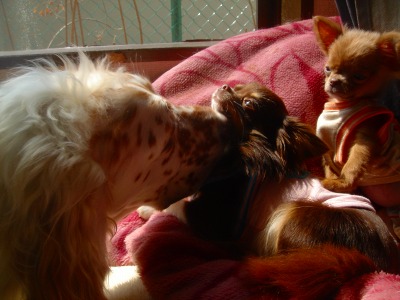 img20070328_2.jpg