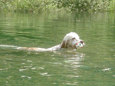 img20070928_3.jpg