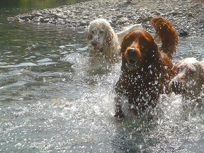 img20070928_1.jpg