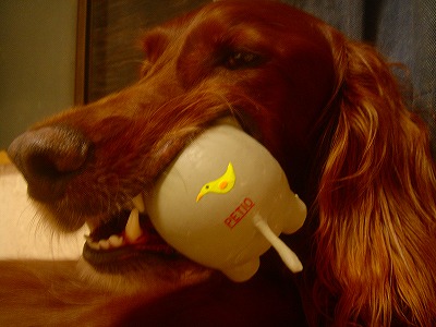 img20070927_1.jpg