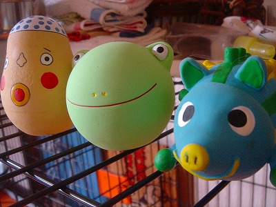 img20070526.jpg