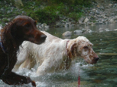 img20070928_5.jpg