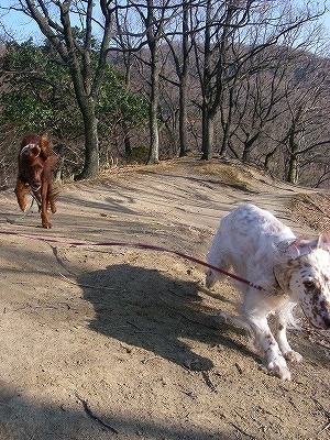 img20080310_3.jpg