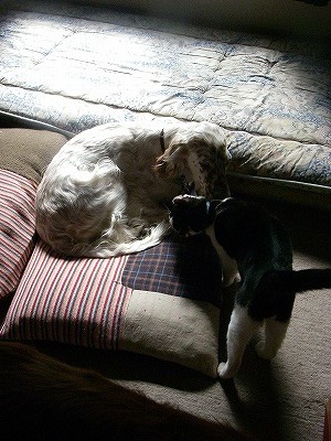 img20080318_6.jpg