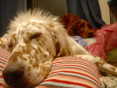 img20070226.jpg