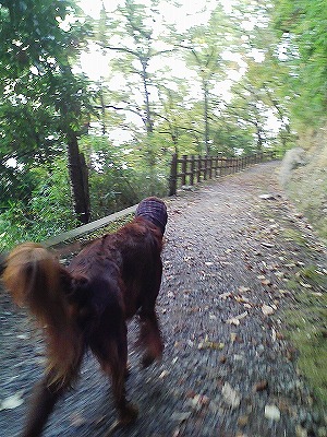 img20071029_2.jpg