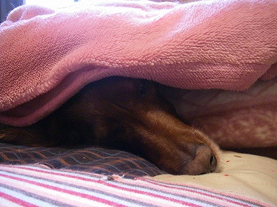 img20080217.jpg