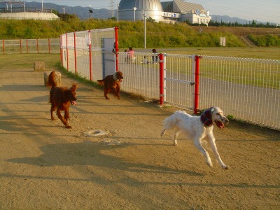img20061030_1.jpg