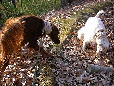 img20071227.jpg