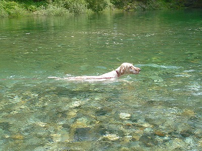 img20070928_2.jpg