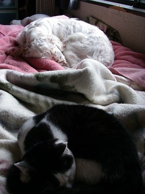 img20080126_1.jpg