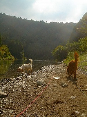 img20070928.jpg