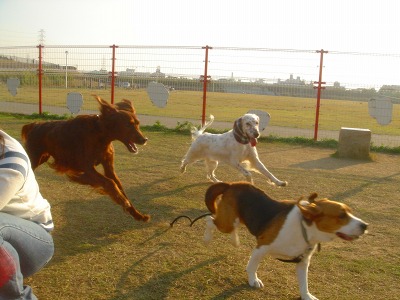 img20061101_3.jpg